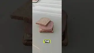 Viral 10s Sandwich Hack #shorts #viral