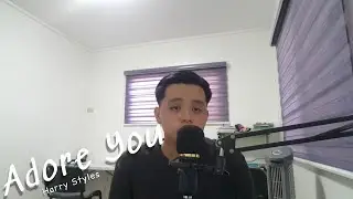 adore you - harry styles (aldo cover)