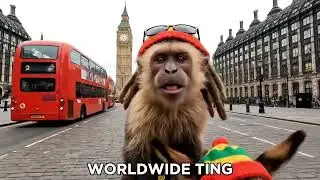 Бегу от мамы своего ребёнка в Великобританию🇬🇧