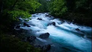 Smooth River Water Flow, Gentle Birds Chirping, Calm and Soothing Nature Sounds for Study and Focus