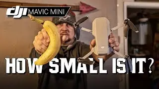 DJI Mavic Mini / How SMALL is it? / Size Comparison to Common Objects