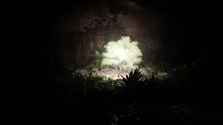 Mystery Cave Hmong 3D Animation