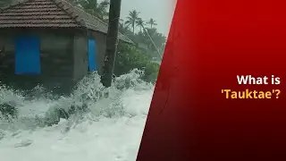 All You Need To Know About Arabian Sea Cyclone 'Tauktae' | NewsMo