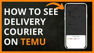 How To See Delivery Courier on Temu in 2024