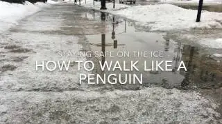 Staying safe on the ice: Walk like a penguin