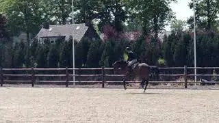Gem De Revel (Gemini) 7-05-20