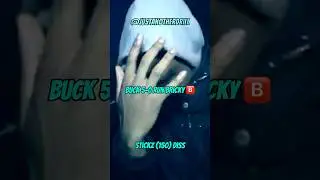 Disses and Replies: Stickz (150) vs Scribz (67) #ukdrill #stickz150 #scribz67