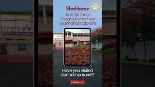 Have you visited our campus yet? #gulmohar #SchoolCampus #ShahbaazEnglishMediumSchool #bestschools