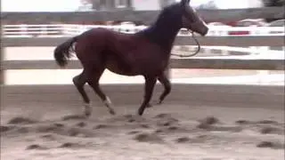 Fhez 11-28-11