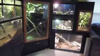 Much Needed Reptile Update