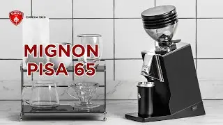 MIGNON PISA 65: The Tilt. The Taste. Zero Retention
