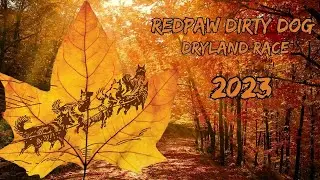 Redpaw Dirty Dog Dryland Race 2023: A Love for the Dogs and Sport