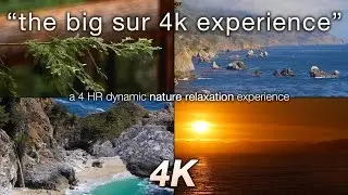 4 HRS Pure 4k Nature: 