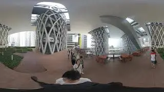 Chan Ka Ming vr