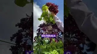 2025 New Business Ideas for Beginners: Vertical Farming