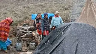Shepherd Life in Extreme Cold | Snowy Winter Village in the Himalayas of Nepal Havey  snow Falling 