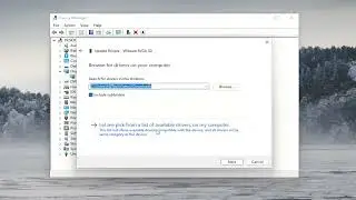 How to Update Microsoft Basic Display Adapter In Windows 11/10 [Tutorial]