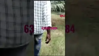 agriculture land for sale khammam||udaya Sri real estate
