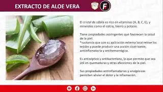 GLUCONATO DE CLORHEXIDINA – Champú antiséptico para perros y gatos de todas las edades.