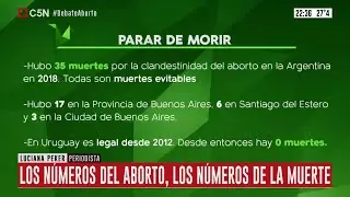 DEBATE ABORTO LEGAL | Los n&uacute;meros del aborto clandestino en Argentina, los n&uacute;meros de la muerte