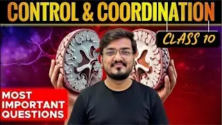 Control & Coordination Class 10 | PYQs + | Brain, Hormones & Reflex Action | CBSE
