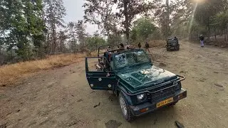 Panna National Park #2020