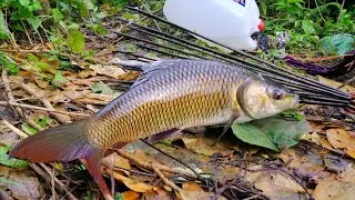 Fishing - Unique Tata Fishing in River | People Fish Hunting By Tata in River | SP Fishing World