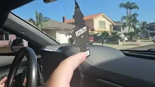 Jared Vidal pulls Angel on walks and pee on Christina Nguyen tomatoes 🍅 