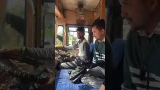 Kaushal express jawalaji queen #himachalpradesh #automobile #trending #travel#viral #bus #onthisday