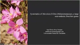 Systematics of Microlicia (Melastomataceae), a large near-endemic Brazilian genus