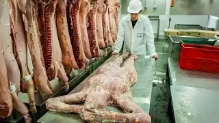 Cette boucherie vend de la viande humaine &ldquo;v&eacute;gan&rdquo;  Tout le pays en est tomb&eacute; amoureux