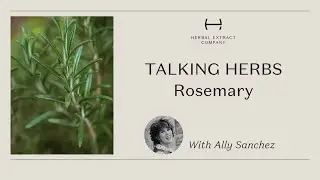Rosemary   The Herbal Extract Company Video Collection   Talking Herbs With Ally Sanchez