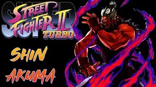 Super Street Fighter 2 Turbo POTS Edition MUGEN Playthrough with Shin Akuma (1080p/60fps)
