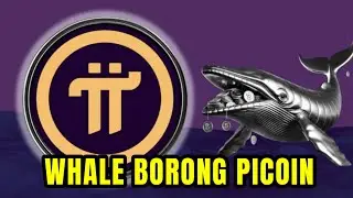 Pi Network Siap Bangkit? Whale Mulai Borong, Seberapa Tinggi Harga Pi Coin Bisa Terbang?