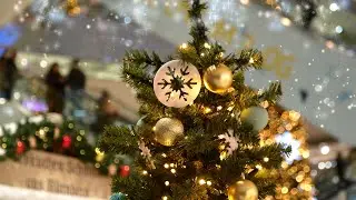 Vorweihnachtszeit in Kassel 2025 🌟 Märchenweihnachtsmarkt