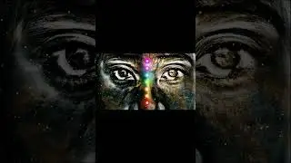 Mr Luspak - Oxygen