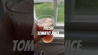 The BEST Homemade Tomato Juice 🍅 | Ready in 5 Minutes!
