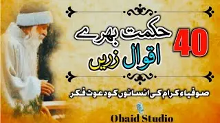 40 Powerful Wisdom Quotes on Life, Success, Patience & Faith | Inspirational Quotes By Obaid Studio