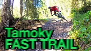 tamoky fast trail