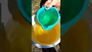 HMO Horticulture Mineral oil