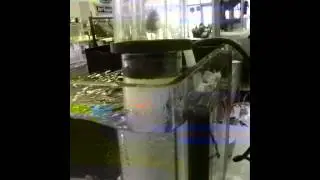 Eshopps Nano Skimmer Pt. 1