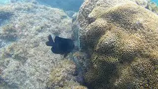 Piscinas Naturais da Ilha Pitu&atilde; - Vila Velha - ES