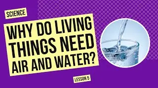 Why Do Living Things Need Air and Water? | Science Lesson