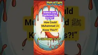 The Miracle of Human Creation in the Qur&rsquo;an 🔥 Science Just Caught Up! 😮 | Path of Light