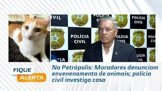 No Petr&oacute;polis: Moradores denunciam envenenamento de animais; pol&iacute;cia civil investiga caso