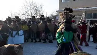 Parada gura vaii 2014-2015