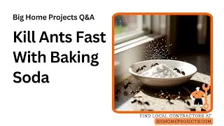 Baking Soda Powdered Sugar Ant Bait That Kills Colonies