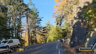 Chuckanut scenic drive in autumn vibes 🍂 🍁
