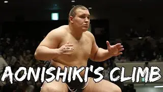 Aonishiki's Furious Climb Continues! All 7 matches of his Nagoya 2024