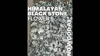 From Meghalaya Forests to Your Kitchen | Black Stone Flower (Kalpasi) |  Chettinad Curries